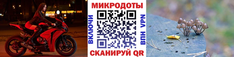 darknet Telegram  цены наркотик  Красный Холм  Галлюциногенные грибы Magic Shrooms 